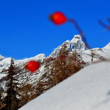 Baita Ancienne Bergerie * Valtournenche