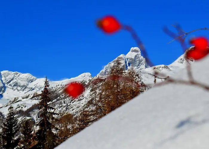 Ancienne Bergerie * Valtournenche